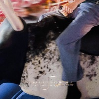 mechanicalbull (feat. BBYKOCAINE) - Single - Ebonii