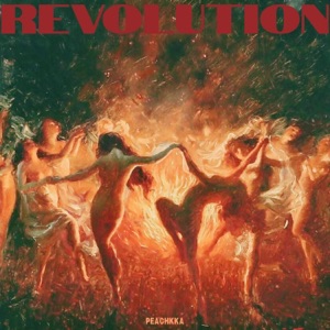 Revolution - Single