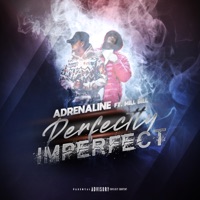 Perfectly Imperfect (feat. Mill Bill) - Single - AdrenalineRush