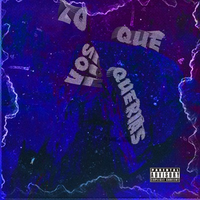 Lo Que Vos Querias - Single