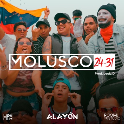 MOLUSCO 24-31 - Single