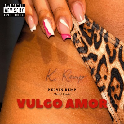 Vulgo Amor - Single