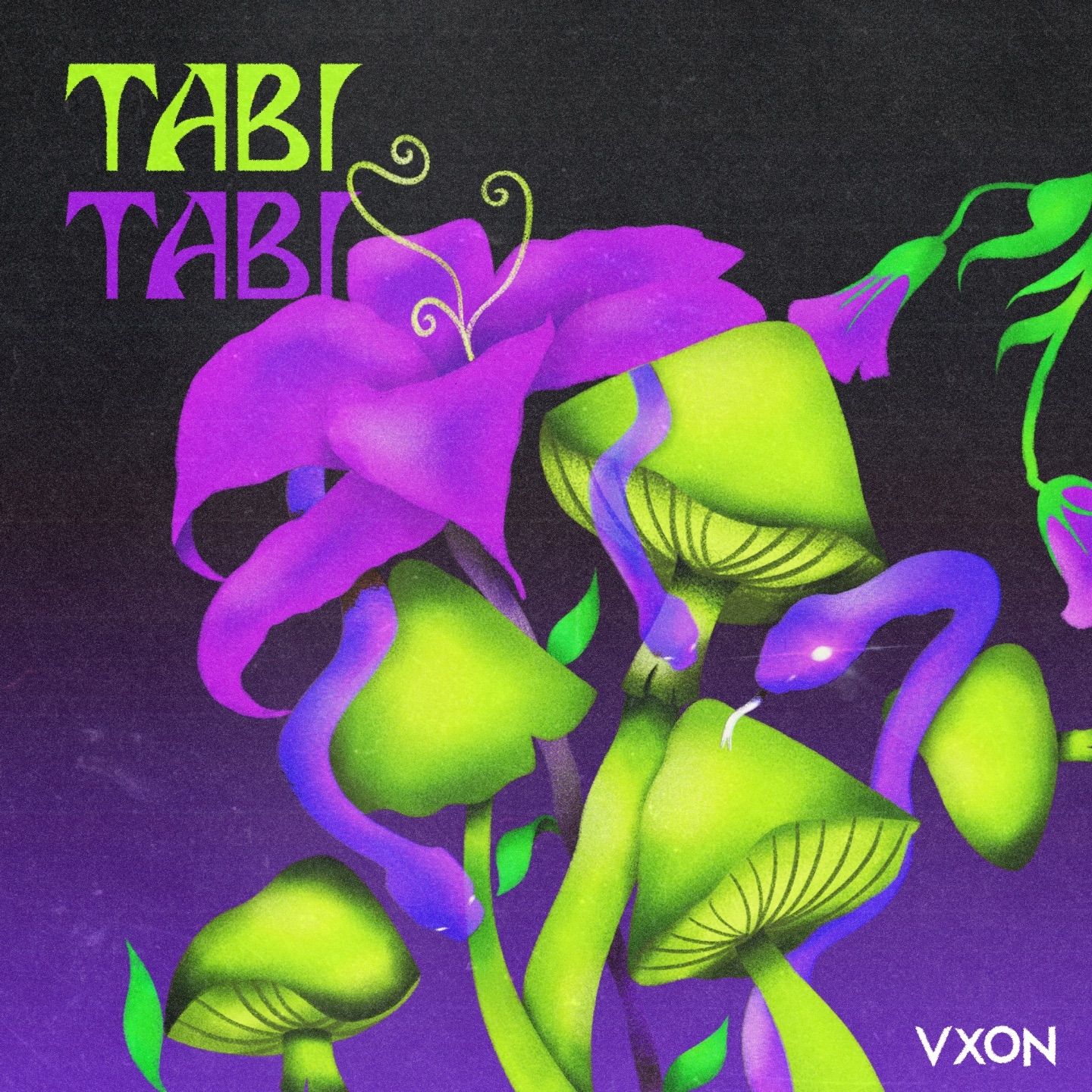 TABI TABI - Single