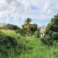 St Kitts - Single - J Fletch & Erwin Do