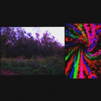 pogo! (feat. Vraime) - Single - Neoxlime
