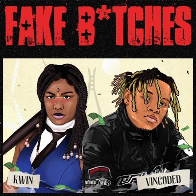 Fake Bitches (feat. KwinDsiren) - Single
