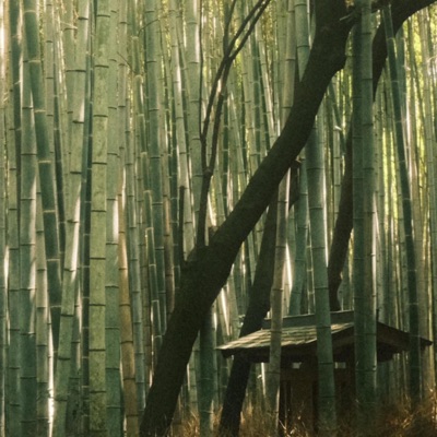 Wander (feat. S N U G) - Single