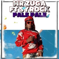 Pale Pale (feat. Syrock) - Single - Mr Zuga