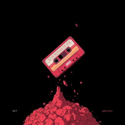 NI UN MENSAJE DE VOZ - Single