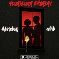 Plusieurs choses (feat. Rbib) - Single - Adeleboy