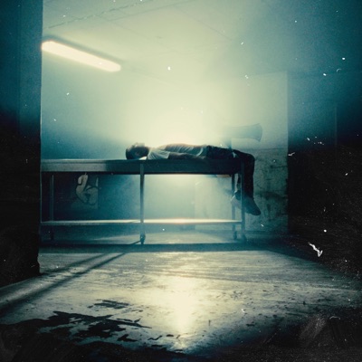 Pitva - Single