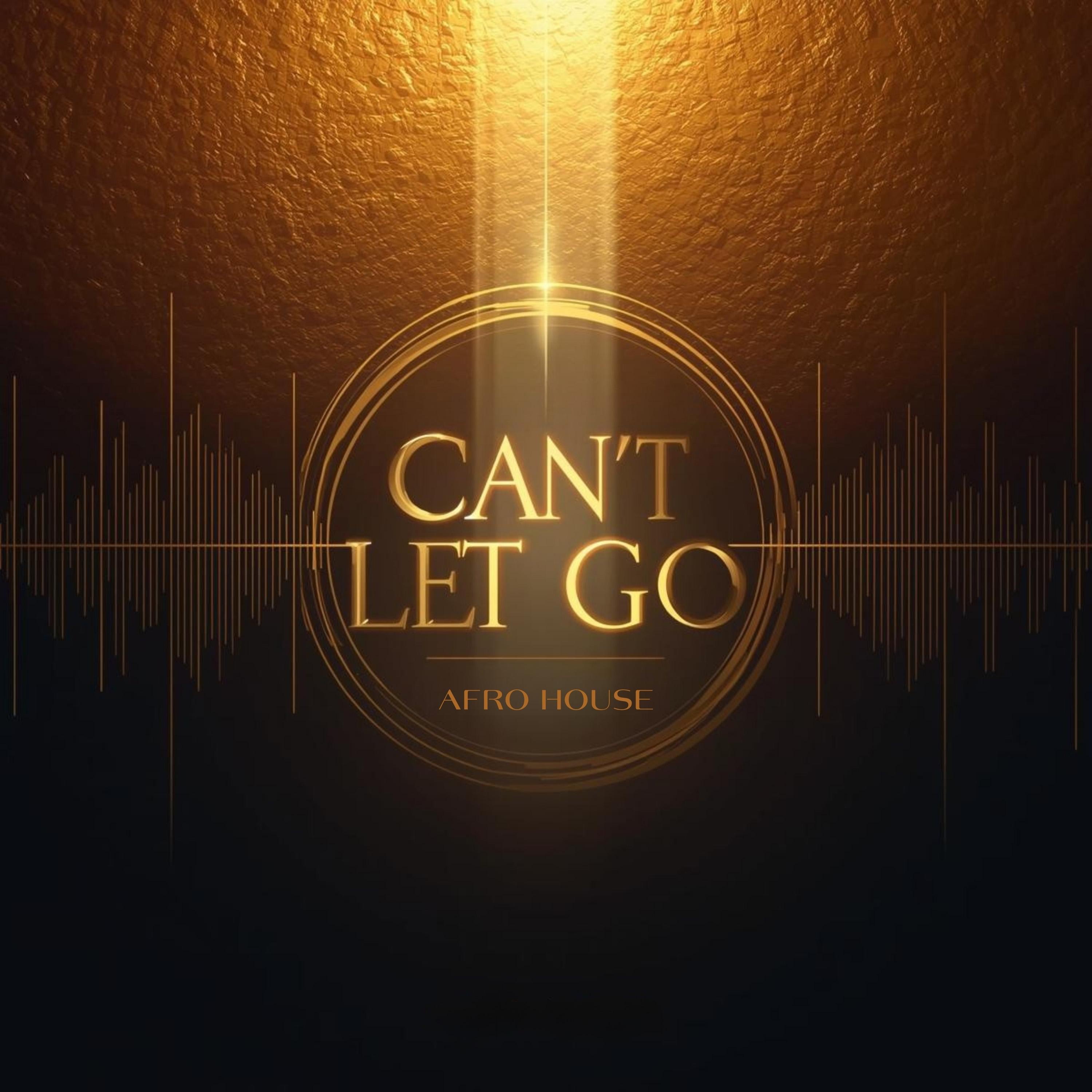 Can’t Let Go - Single