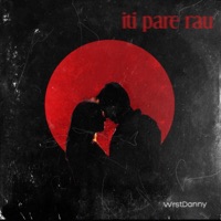 iti pare rau - Single - dnzsb