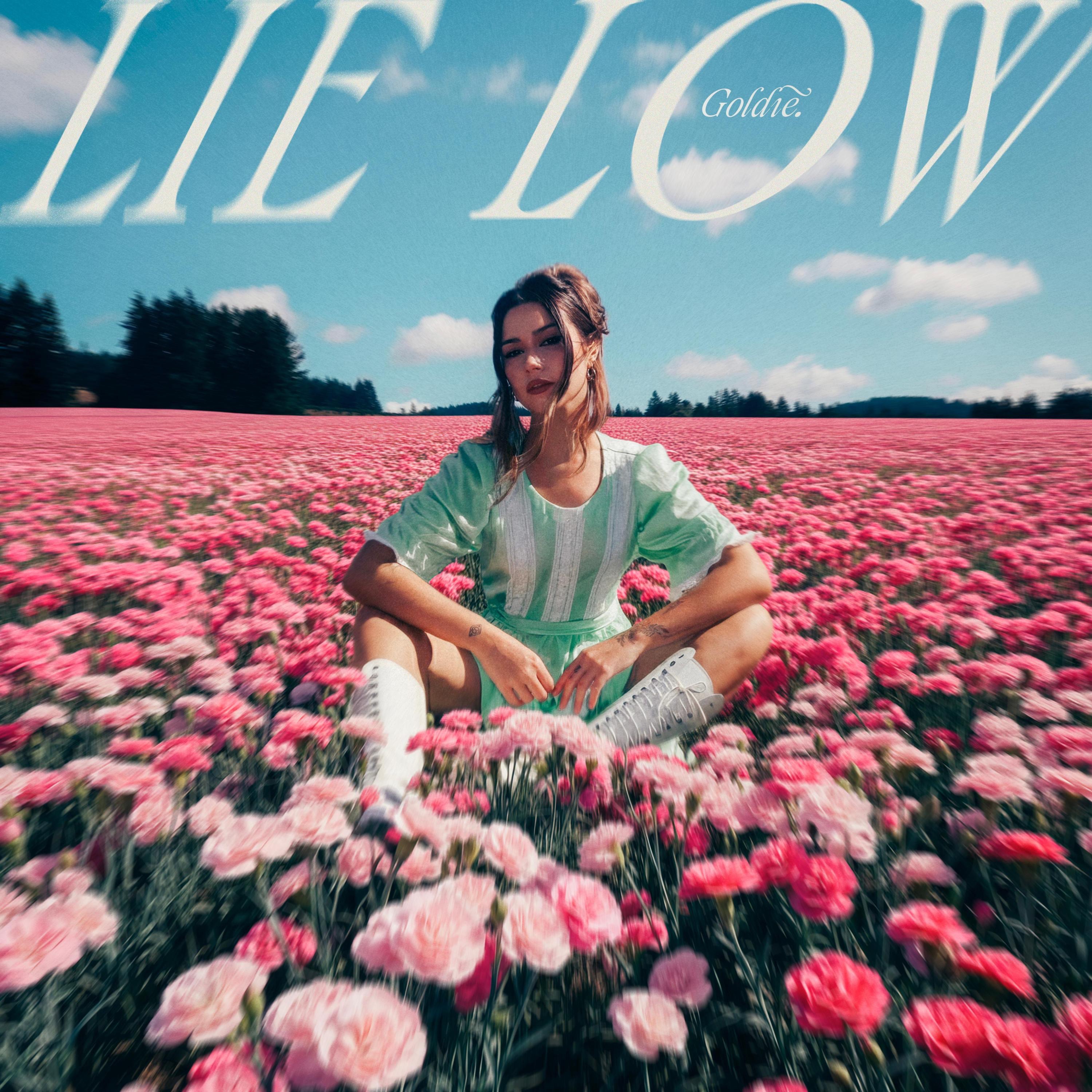 Lie Low - Single