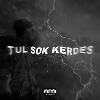 TÚL SOK KÉRDÉS - Single