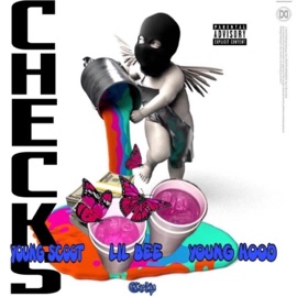 Checks (feat. Lil Bee & Young Hood73) Young Scott