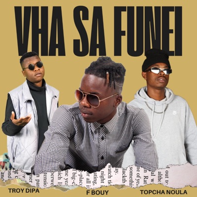 Vha sa funei (feat. Troy dipa & Topcha noula) - Single