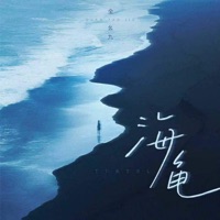 海龟 - Single - Yaojiu Quan
