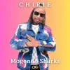 Mogondo Sharks - Chirie