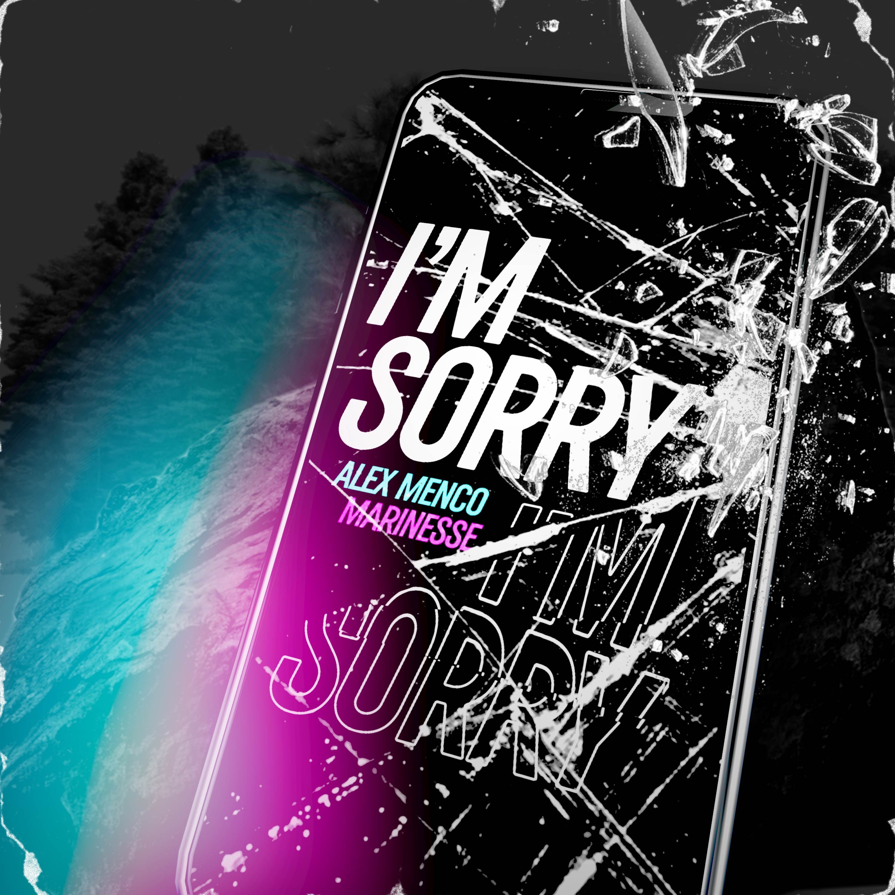 I'm Sorry - Single