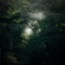 Lianas - Boomer lyrics