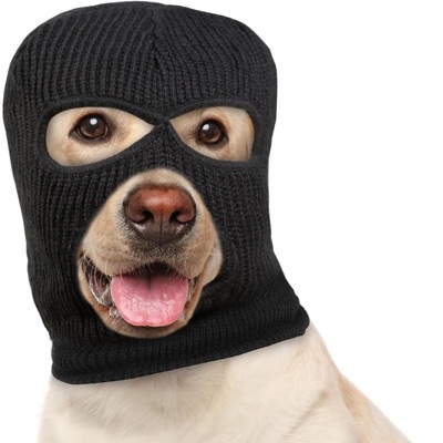 hate me, love me - Single