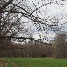 lack of clarity Nezo