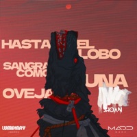 H.E.L.S.C.U.O - Jhoan