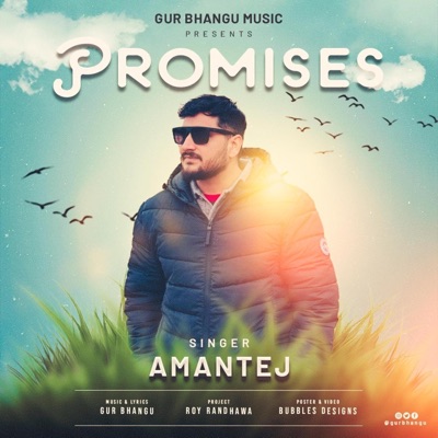 Promises (feat. Amantej) - Single