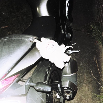 INSTAGRAM REELS RU!NED MY LYF! - Single