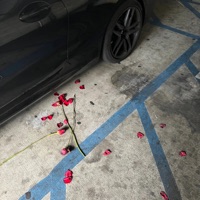 R U Up Yet? - Single - Dezmxnd