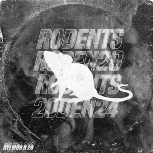 R 20 - Single