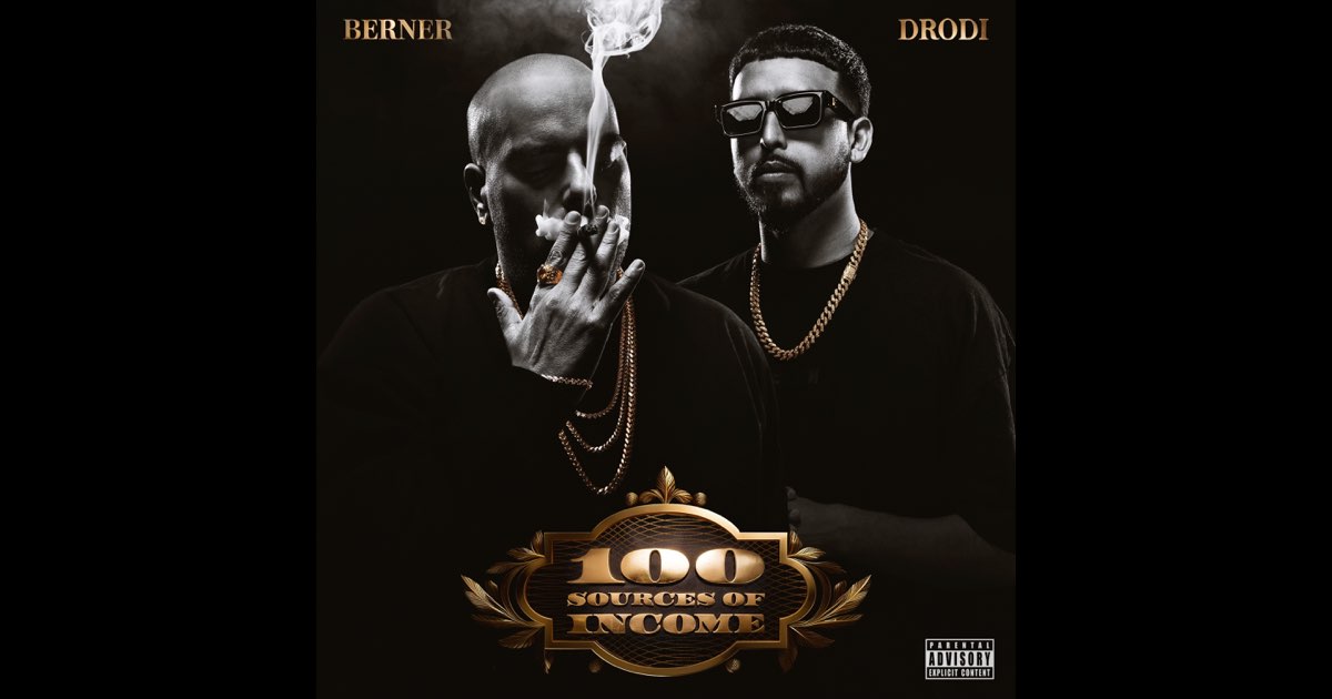 100 Sources of Income - Berner & DRODi