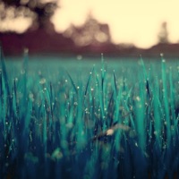 Embrace of Earth and Weeping Sky - Single - Bahrambient