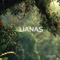 Arum by Lianas on Apple Music