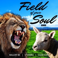 Field of Your Soul (feat. Sy Sparks & Clean Slate) [Remix] - Single - Mallory Be.