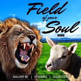 Field of Your Soul (feat. Sy Sparks & Clean Slate) [Remix] Mallory Be.