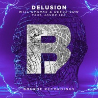 Delusion (feat. Jacob Lee) - Will Sparks & Reece Low