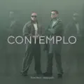 Contemplo