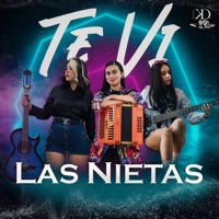 Te Ví - Las Nietas & KD Music