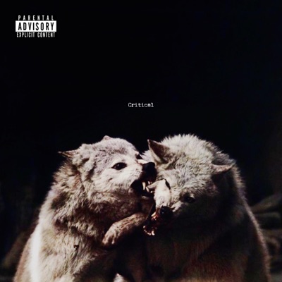 CRITICAL (feat. MIC Mike) - Single