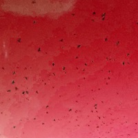 White Claw - Single - Tumaggz