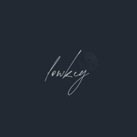 lowkey - Single - RAY G