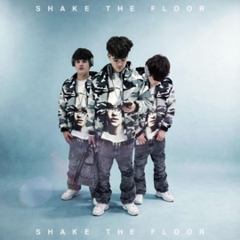 SHAKE THE FLOOR Cygan9