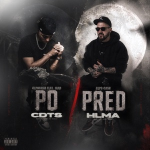 PO/PRED - Single