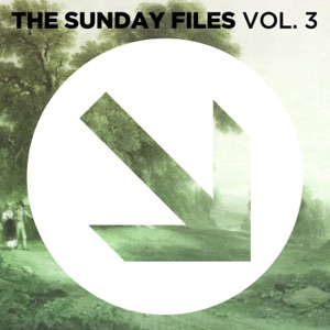 Can't Hide It (Tony Lionni Remix)