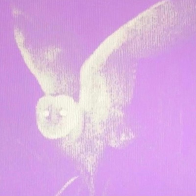 Fried (Freestyle) - Single