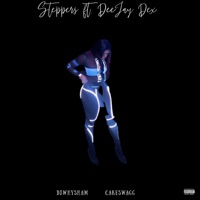 Steppers (feat. DeeJay Dex & Cakeswagg) - Single - DJ WhySham