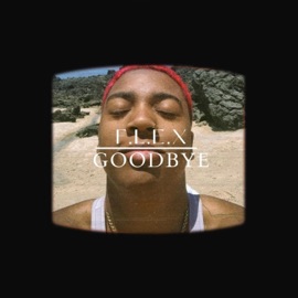 Goodbye Flex!