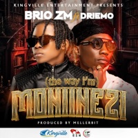 Moniinezi(The way I'm) (feat. Driemo) - Single - Brio ZM